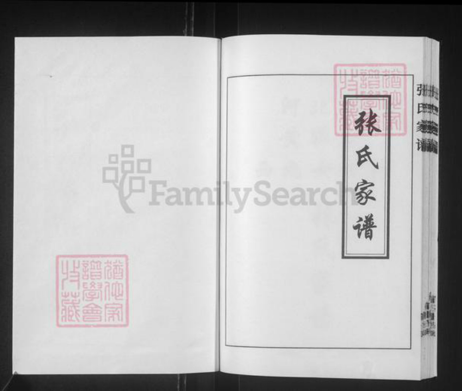 河北省沧州黄骅市官庄乡张氏族谱-张氏家谱.pdf电子版插图1