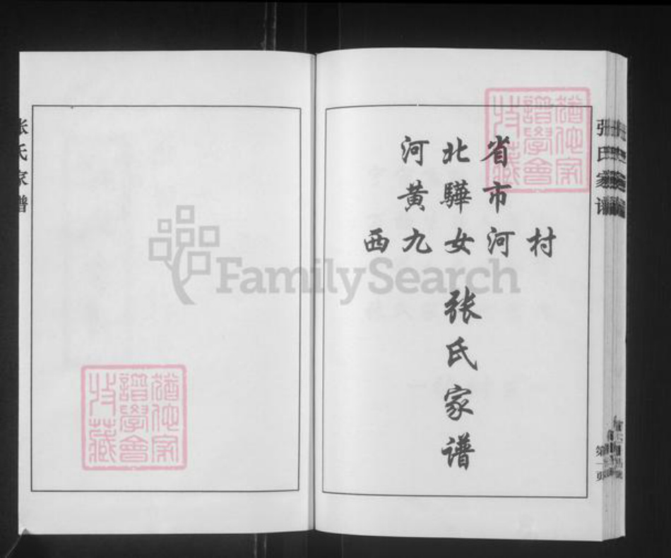 河北省沧州黄骅市官庄乡张氏族谱-张氏家谱.pdf电子版插图2