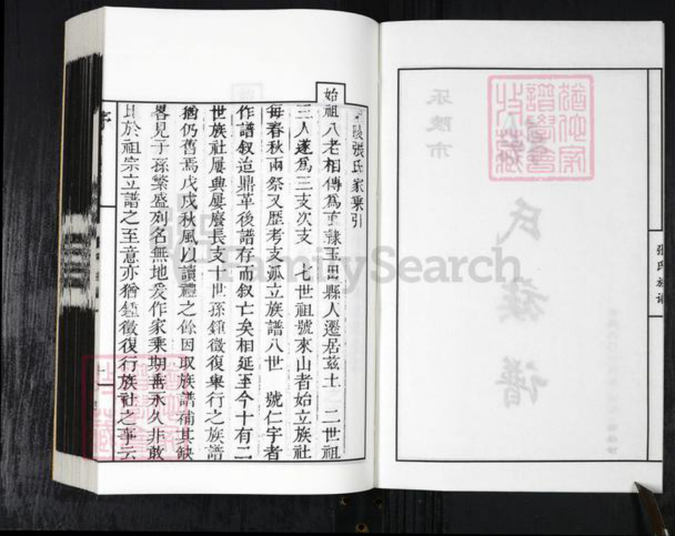 山东省德州市乐陵市张氏族谱-乐陵市张氏族谱.pdf电子版插图2 山东省德州市乐陵市张氏族谱-乐陵市张氏族谱.pdf电子版插图2