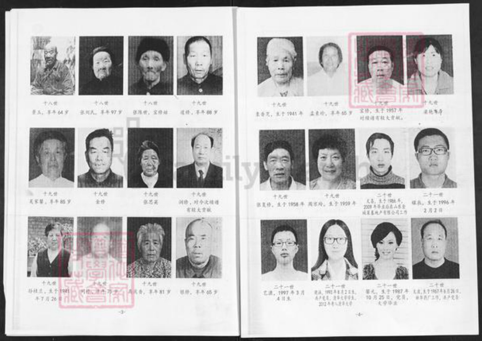 山东省淄博市淄川区张氏族谱-张氏支谱.pdf电子版插图3