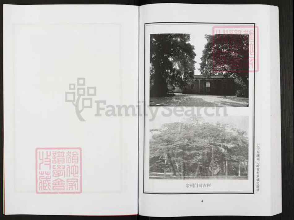 海南省万宁市东澳镇张氏孝友堂族谱-张氏宗谱.pdf电子版插图5 海南省万宁市东澳镇张氏孝友堂族谱-张氏宗谱.pdf电子版插图5