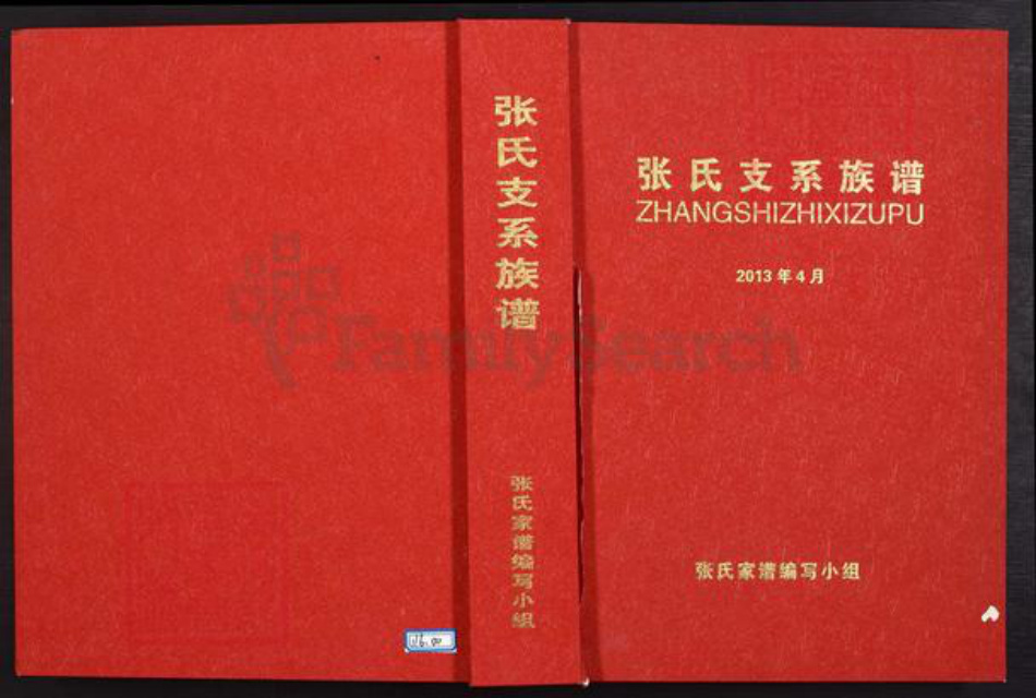 云南省保山市腾冲市张氏族谱-张氏支系族谱.pdf电子版