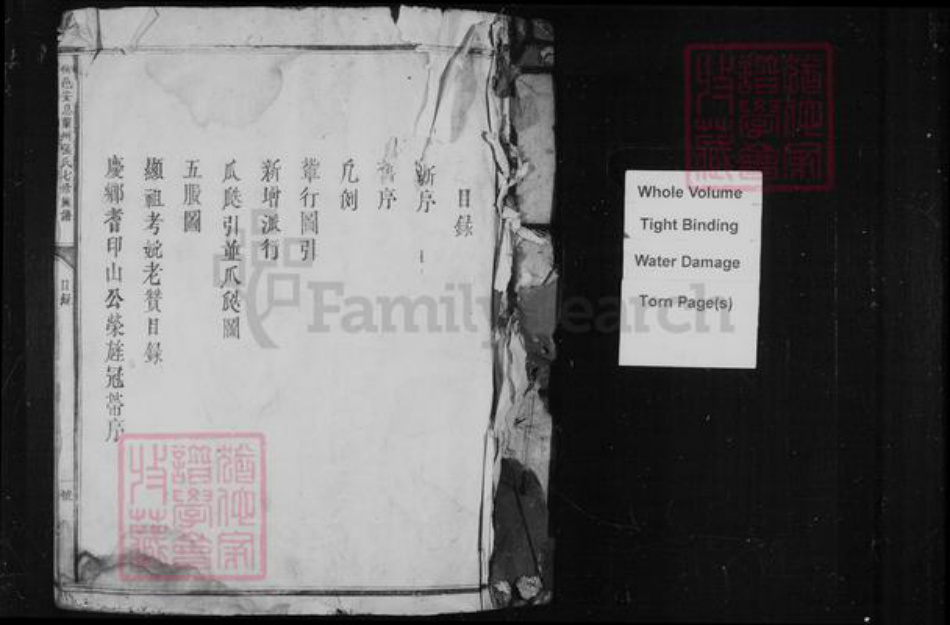 江西省赣州市兴国县江西省赣州市会昌县江西省赣州市信丰县张氏族谱-张氏七修族谱 [卷数未列].pdf电子版插图2