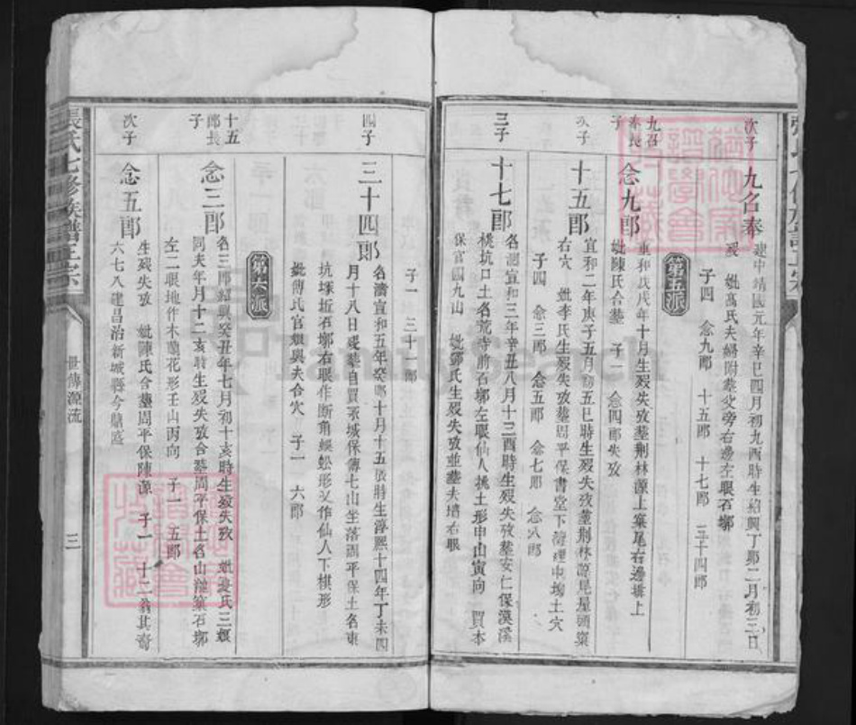 福建省江西省赣州市宁都县张氏族谱-张氏七修族谱正宗 [6卷].pdf电子版插图2