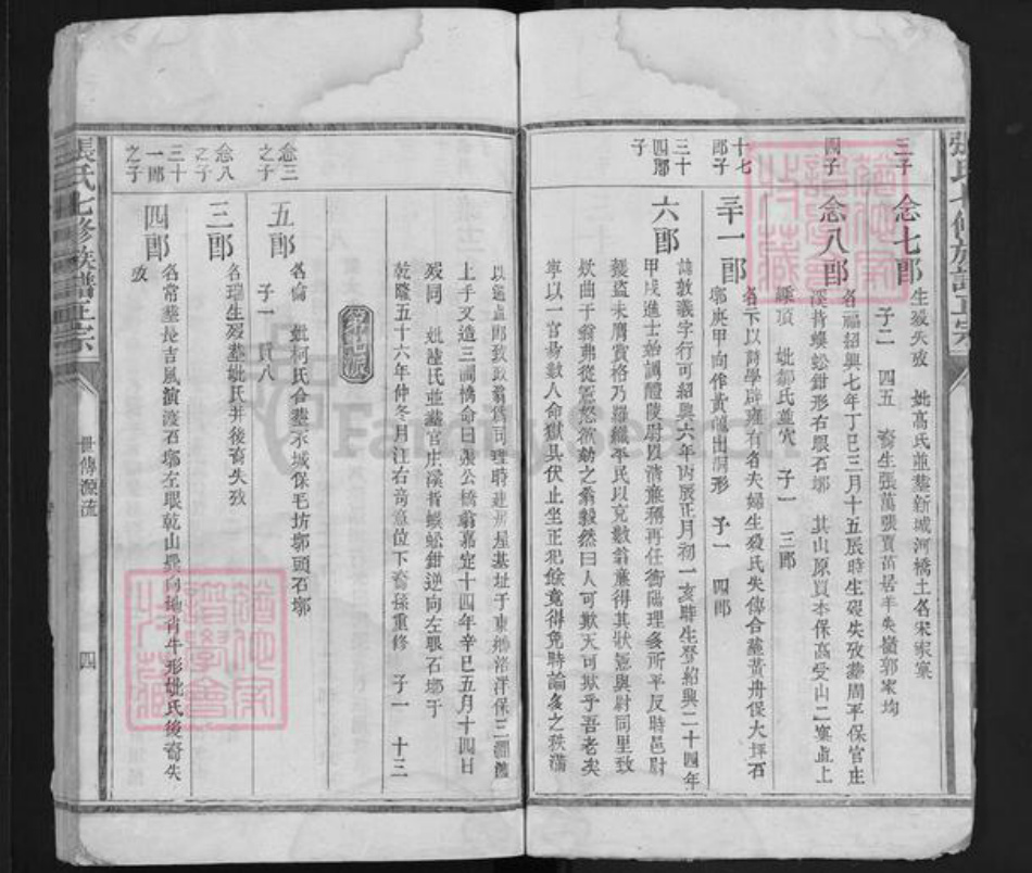 福建省江西省赣州市宁都县张氏族谱-张氏七修族谱正宗 [6卷].pdf电子版插图3