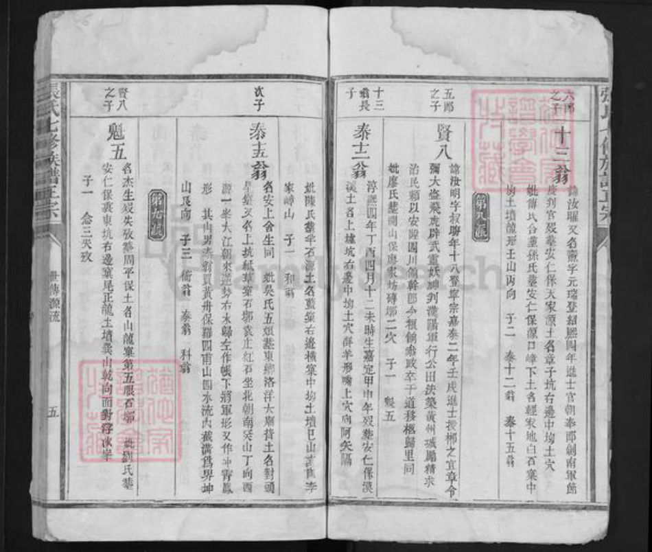 福建省江西省赣州市宁都县张氏族谱-张氏七修族谱正宗 [6卷].pdf电子版插图4