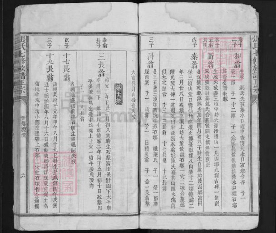 福建省江西省赣州市宁都县张氏族谱-张氏七修族谱正宗 [6卷].pdf电子版插图5