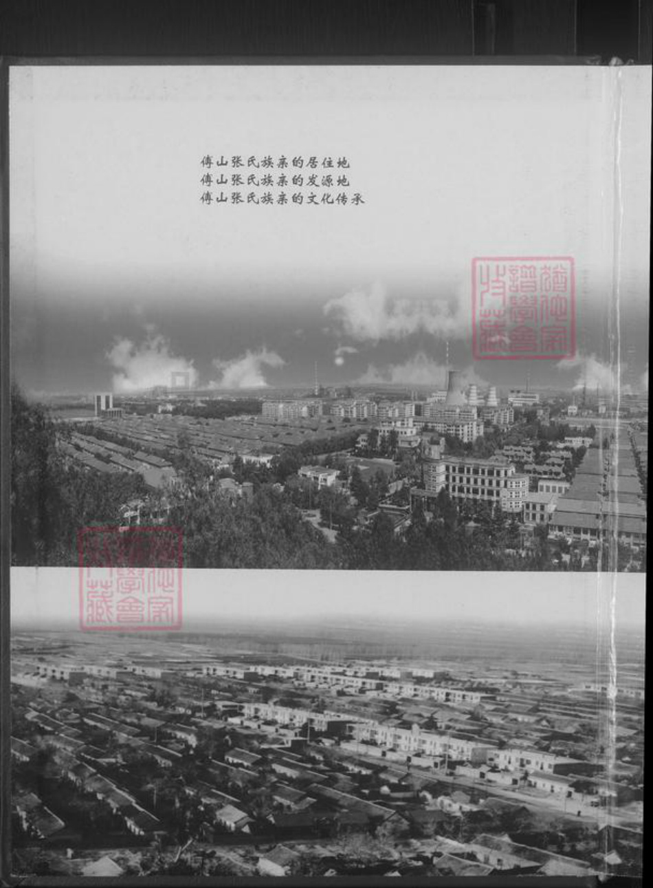 山东省淄博市张氏族谱-傅山张氏家谱 [不分卷].pdf电子版插图2
