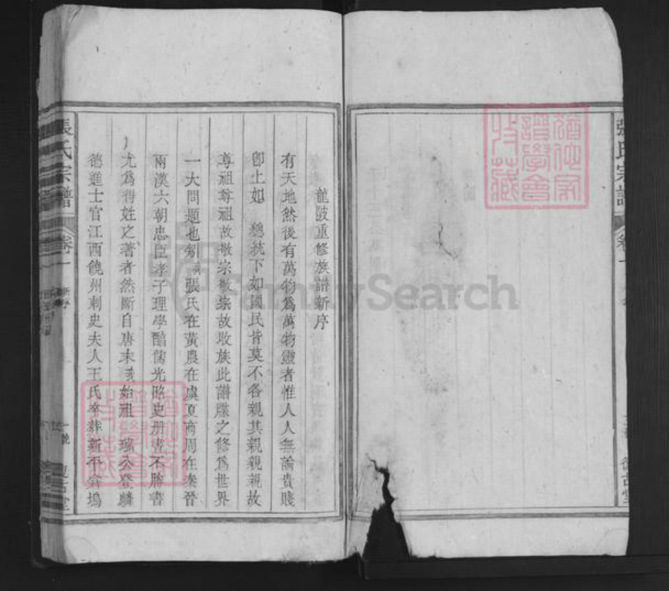 江西省萍乡市上栗县赤山镇张氏复古堂族谱-张氏宗谱.pdf电子版插图3 江西省萍乡市上栗县赤山镇张氏复古堂族谱-张氏宗谱.pdf电子版插图3