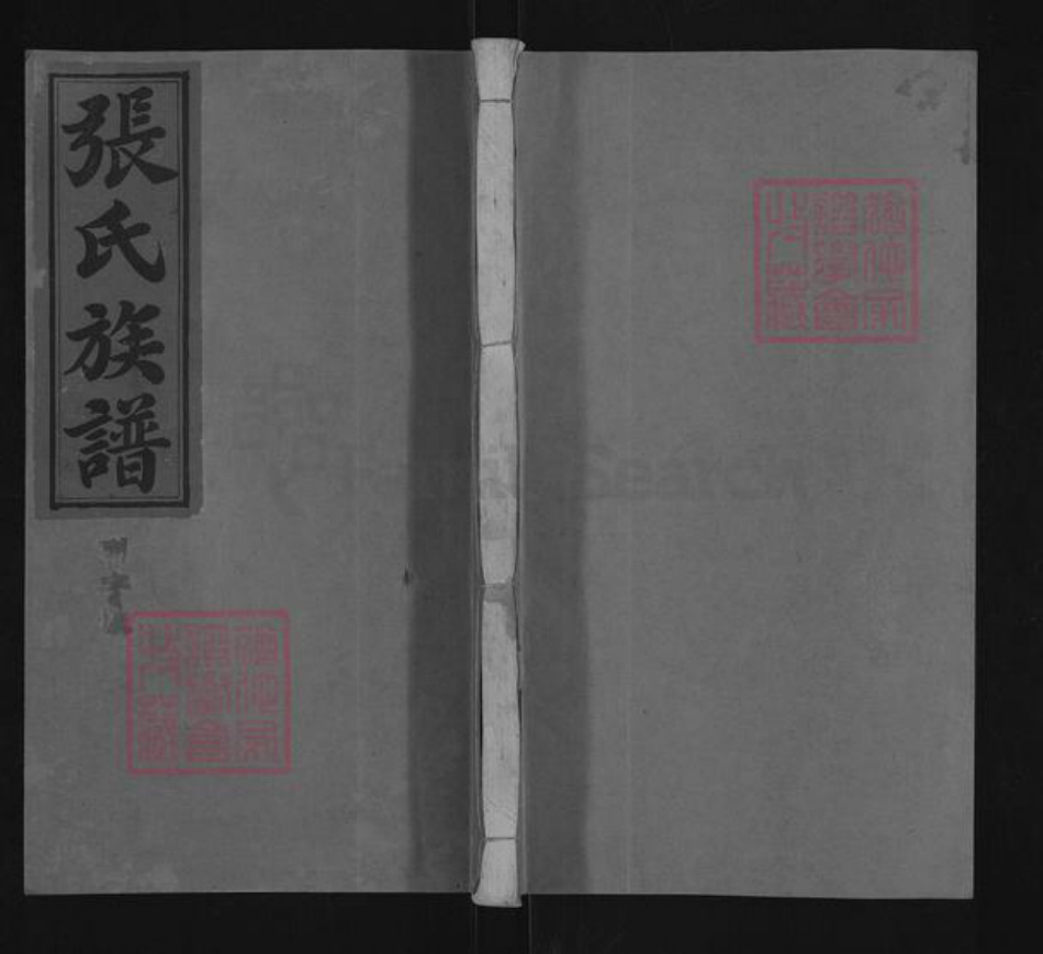 湖南省株洲市茶陵县张氏万选堂族谱-张氏族谱.pdf电子版