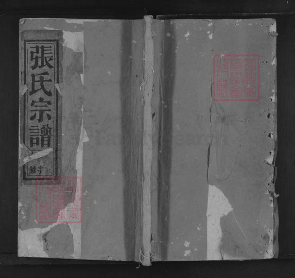 江西省抚州市南城县建昌镇张氏三星堂族谱-张氏宗谱.pdf电子版
