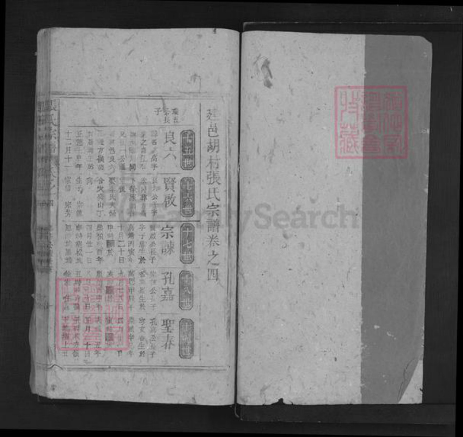 江西省抚州市南城县建昌镇张氏三星堂族谱-张氏宗谱.pdf电子版插图1