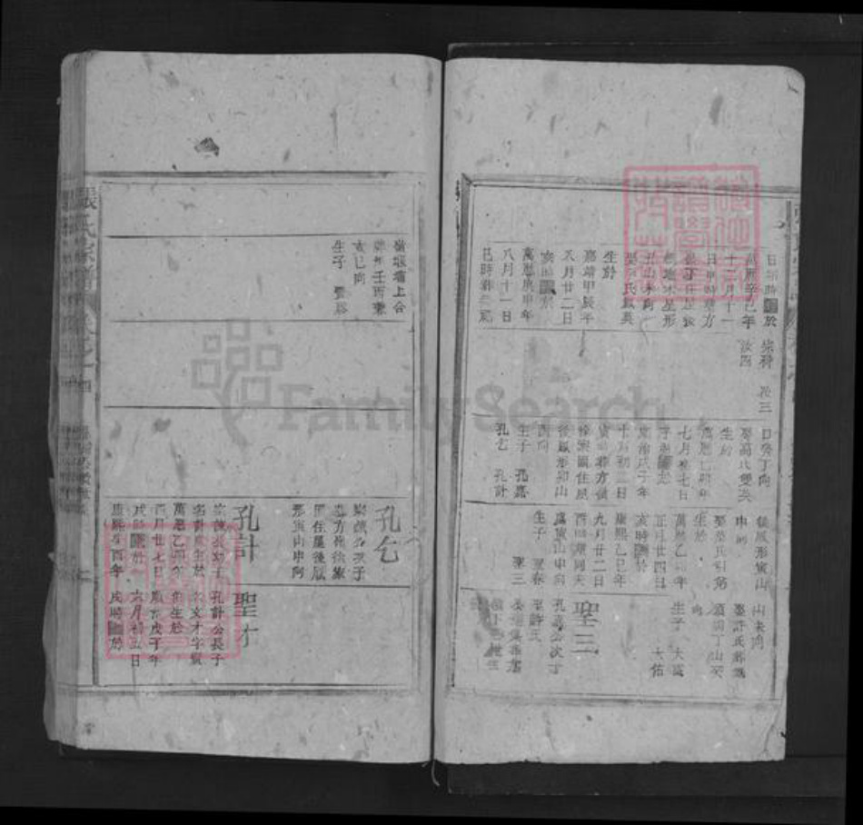 江西省抚州市南城县建昌镇张氏三星堂族谱-张氏宗谱.pdf电子版插图2