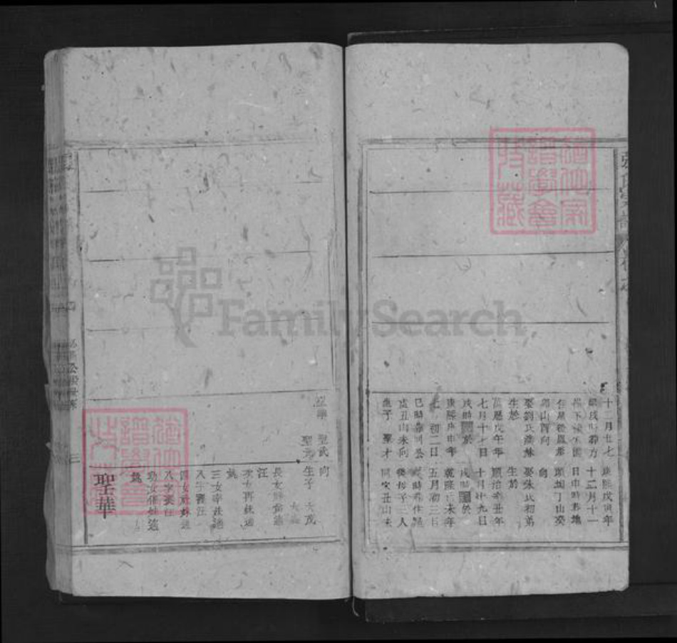 江西省抚州市南城县建昌镇张氏三星堂族谱-张氏宗谱.pdf电子版插图3