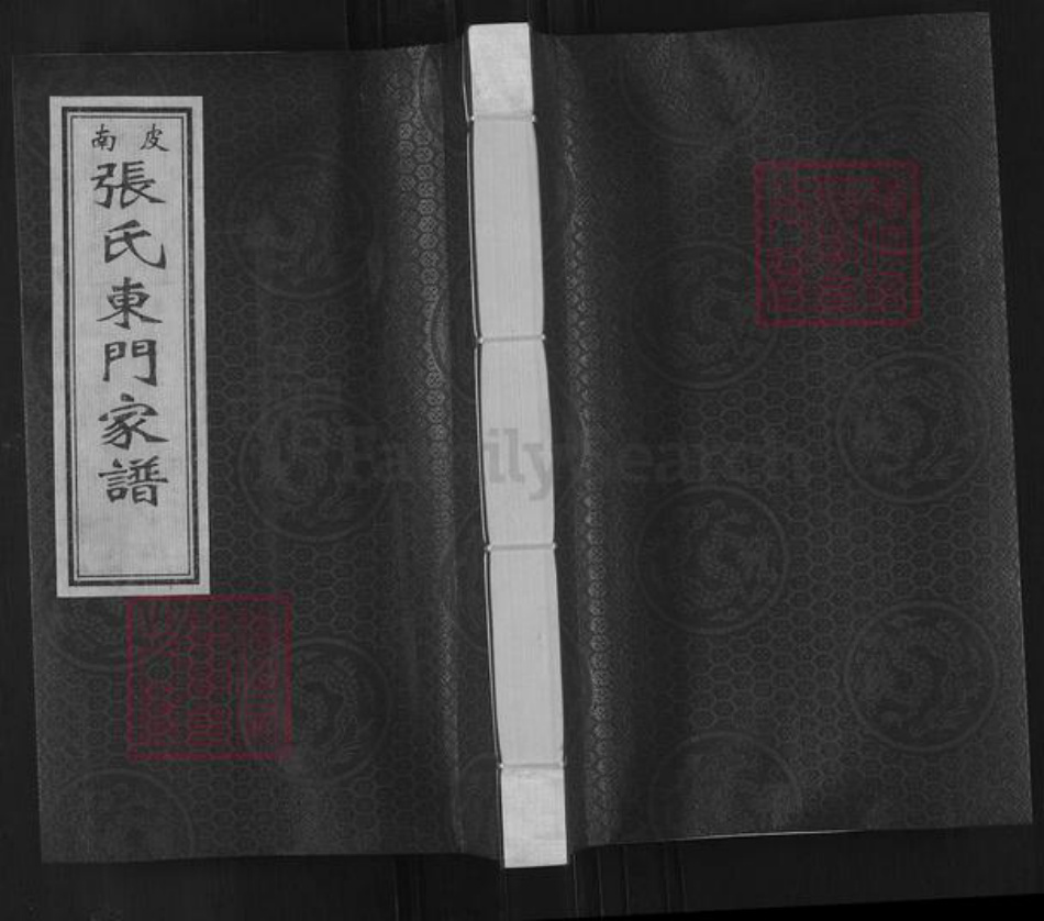 河北省沧州南皮县张氏永思堂族谱-南皮张氏东门家谱.pdf电子版