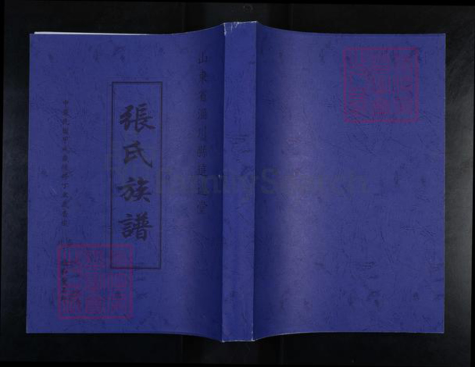 山东省淄博市淄川区张氏追远堂族谱-张氏族谱.pdf电子版