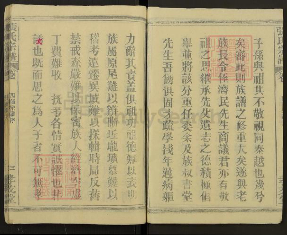 湖北省黄冈市麻城市龟山镇张氏孝友堂族谱-张氏族谱.pdf电子版插图3 湖北省黄冈市麻城市龟山镇张氏孝友堂族谱-张氏族谱.pdf电子版插图3