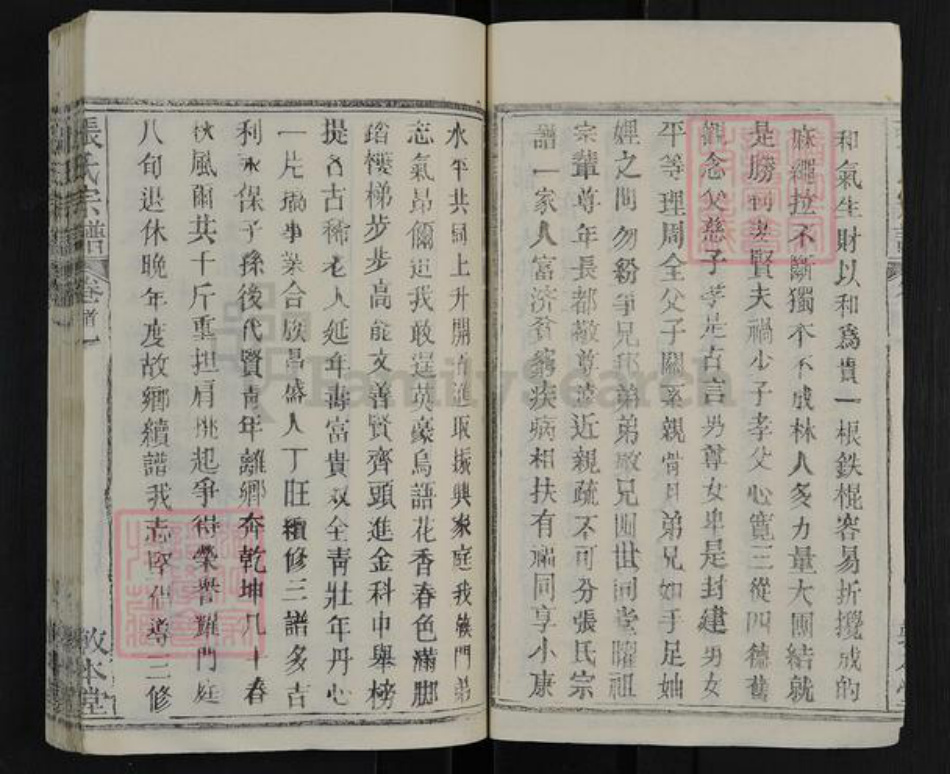 湖北省武汉市新洲区张氏敦本堂族谱-张氏宗谱.pdf电子版插图5 湖北省武汉市新洲区张氏敦本堂族谱-张氏宗谱.pdf电子版插图5