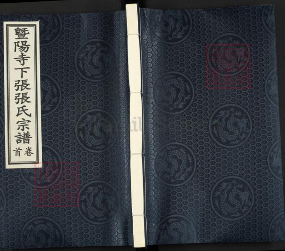 浙江省绍兴诸暨市牌头镇张氏芝泉堂族谱-暨阳寺下张张氏宗谱.pdf电子版