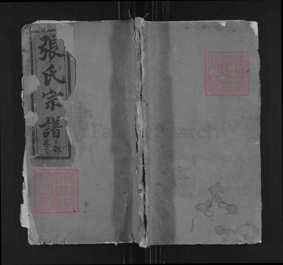 江西省上饶市广丰区五都镇张氏忠文堂族谱-丰溪张氏宗谱.pdf电子版