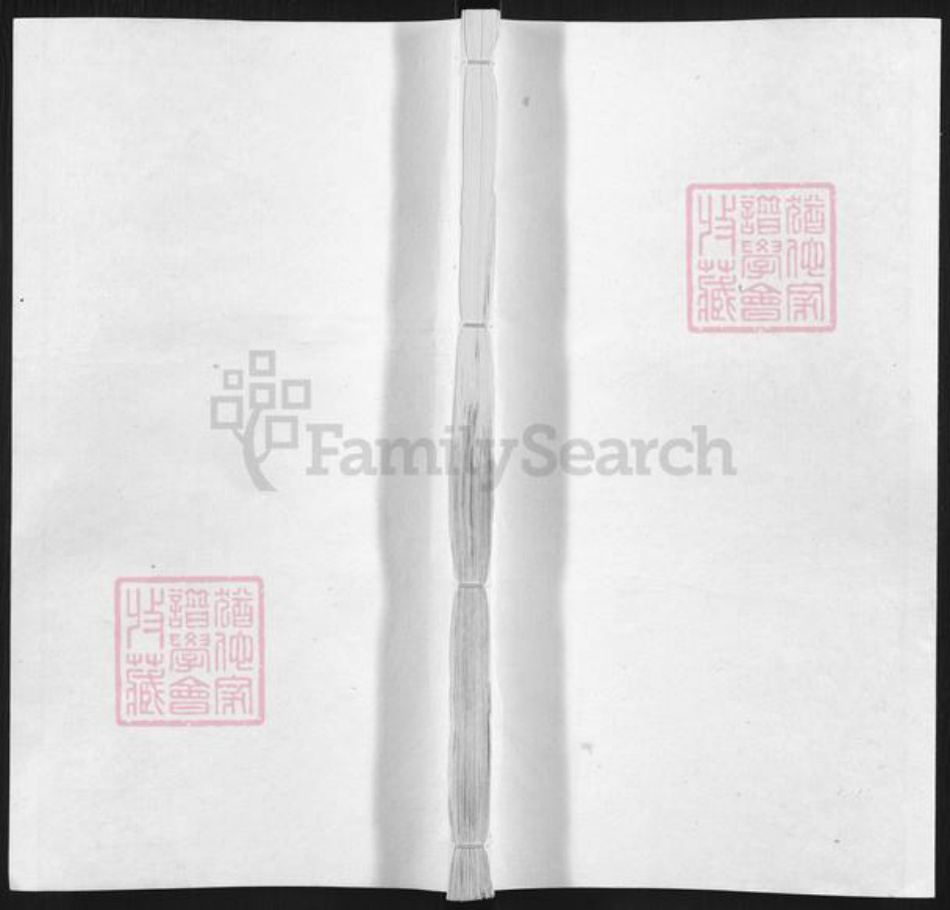 江西省上饶市玉山县临湖镇张氏族谱-张氏统宗世谱.pdf电子版