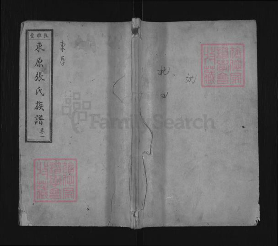山东省泰安市东平县张氏敦睦堂族谱-敦睦堂东原张氏族谱.pdf电子版