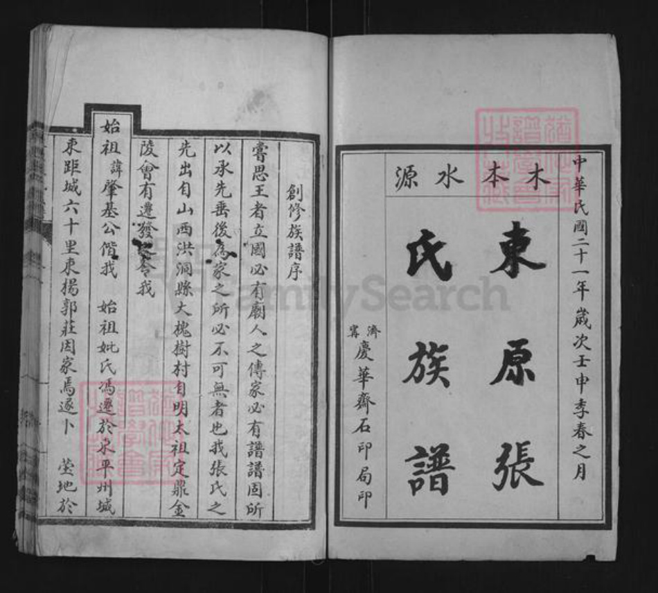 山东省泰安市东平县张氏敦睦堂族谱-敦睦堂东原张氏族谱.pdf电子版插图1