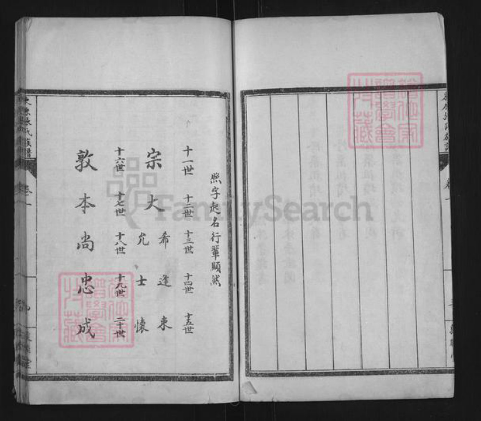 山东省泰安市东平县张氏敦睦堂族谱-敦睦堂东原张氏族谱.pdf电子版插图4