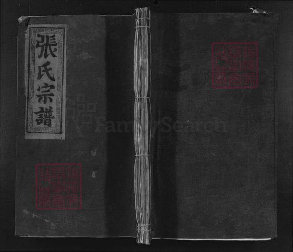 江西省九江市浔阳区张氏孝友堂族谱-张氏宗谱.pdf电子版
