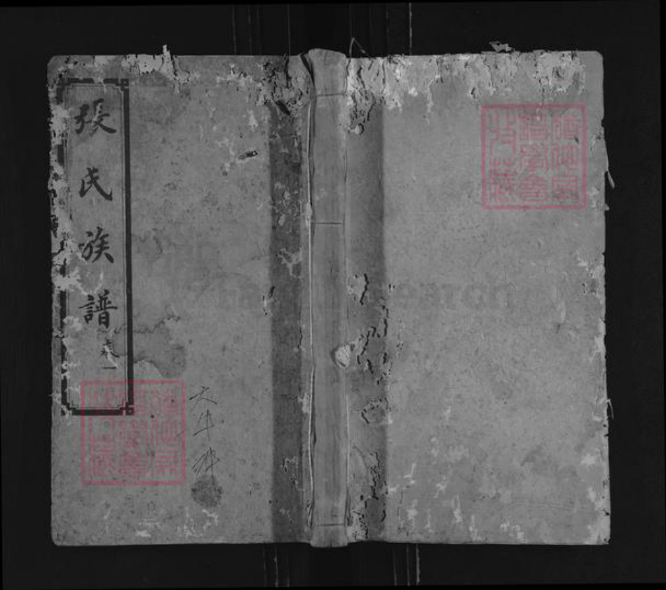 湖南省衡阳市耒阳市仁义镇张氏清河堂族谱-张氏族谱.pdf电子版