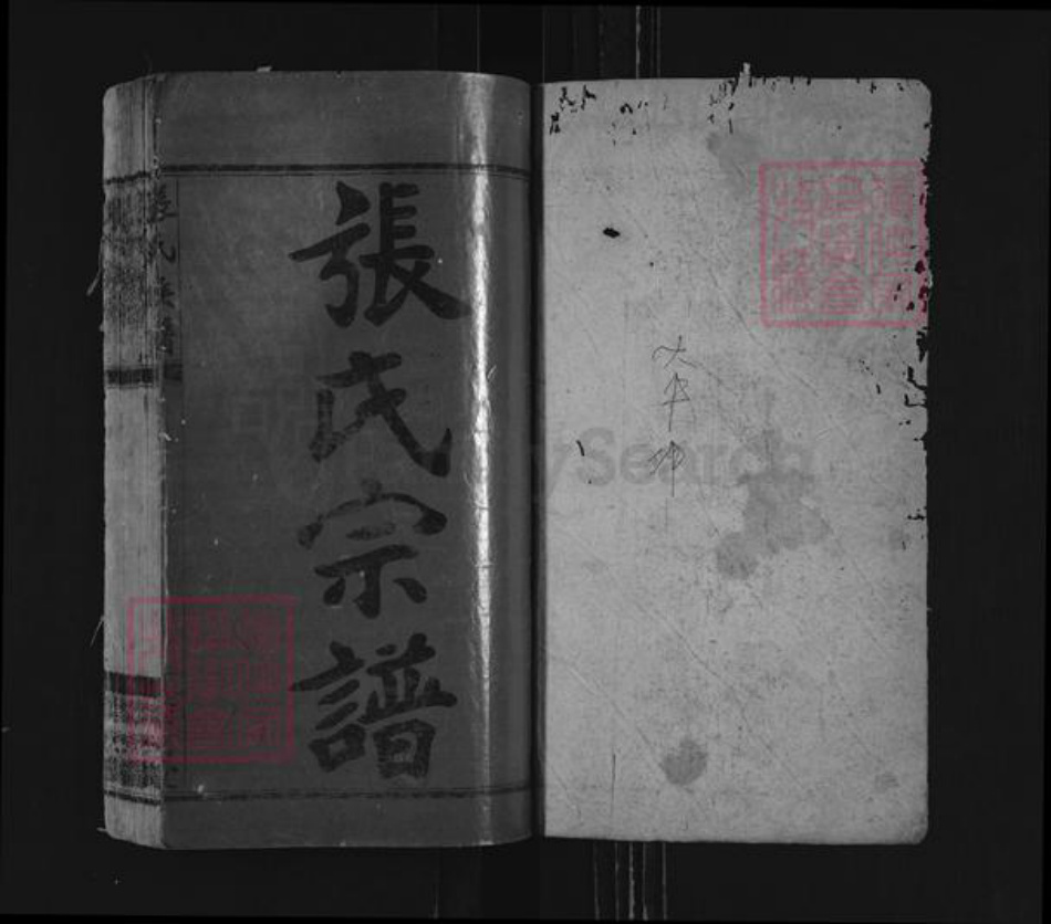 湖南省衡阳市耒阳市仁义镇张氏清河堂族谱-张氏族谱.pdf电子版插图1 湖南省衡阳市耒阳市仁义镇张氏清河堂族谱-张氏族谱.pdf电子版插图1