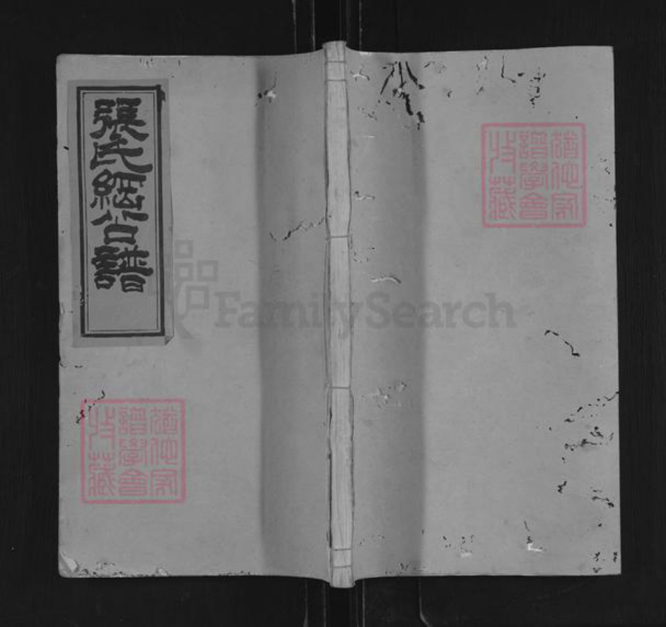 湖南省长沙市浏阳市沿溪镇张氏孝友堂族谱-张氏纲公枝谱.pdf电子版