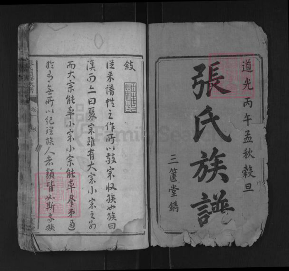 湖南省湘潭市湘潭县河口镇张氏三箧堂族谱-张氏续修族谱.pdf电子版插图1 湖南省湘潭市湘潭县河口镇张氏三箧堂族谱-张氏续修族谱.pdf电子版插图1