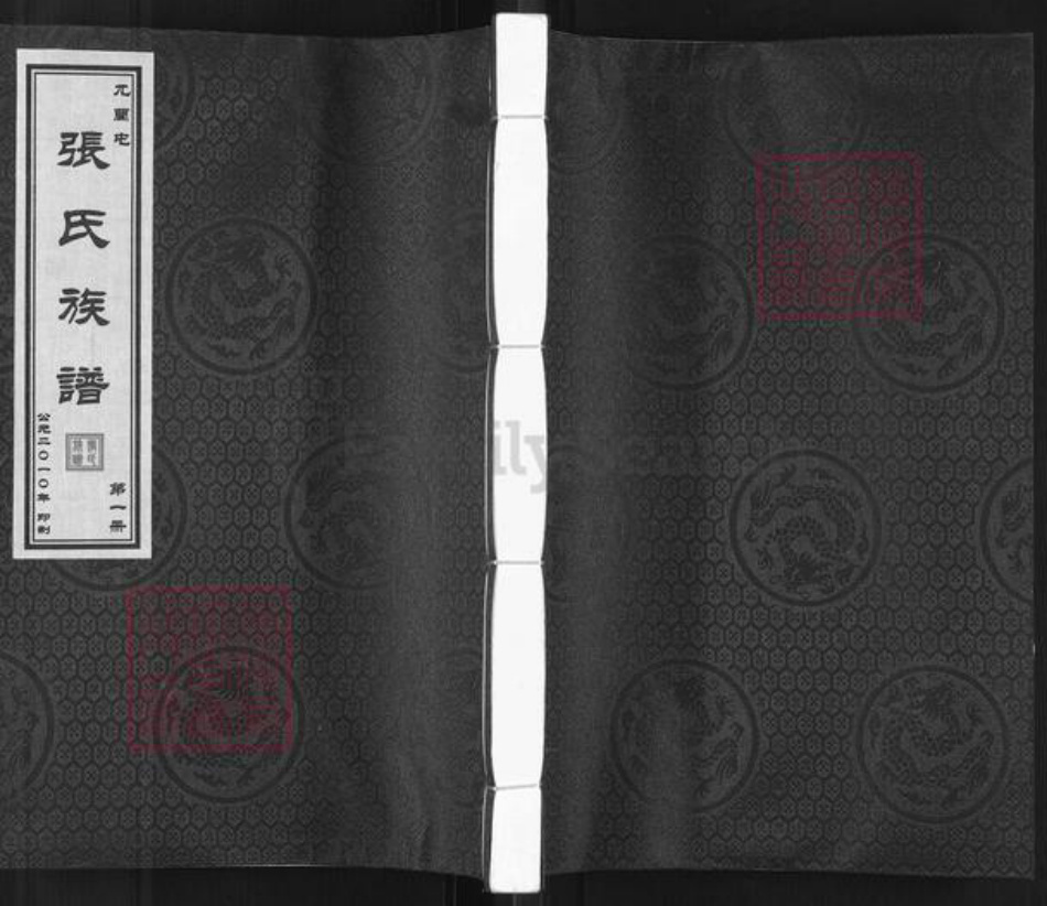 河北省衡水市故城县张氏族谱-张氏族谱.pdf电子版