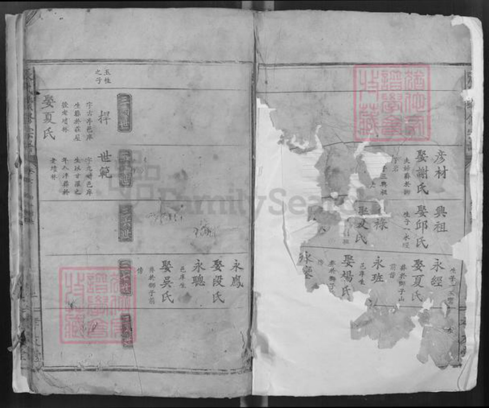 湖北省鄂州市梁子湖区梁子镇张氏孝友堂族谱-张氏续修宗谱.pdf电子版插图1 湖北省鄂州市梁子湖区梁子镇张氏孝友堂族谱-张氏续修宗谱.pdf电子版插图1