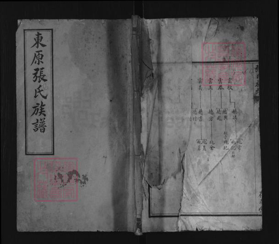 山东省泰安市东平县张氏存忍堂族谱-东原张氏族谱.pdf电子版插图 山东省泰安市东平县张氏存忍堂族谱-东原张氏族谱.pdf电子版插图