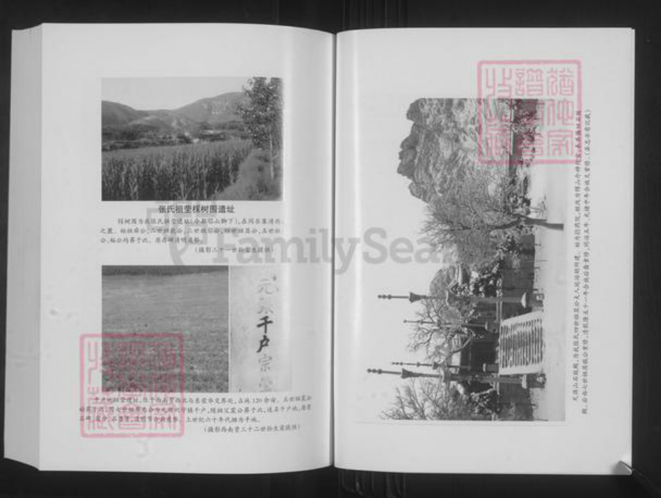 山西省忻州市原平市崞阳镇张氏族谱-同乐寨湾张氏宗谱.pdf电子版插图4