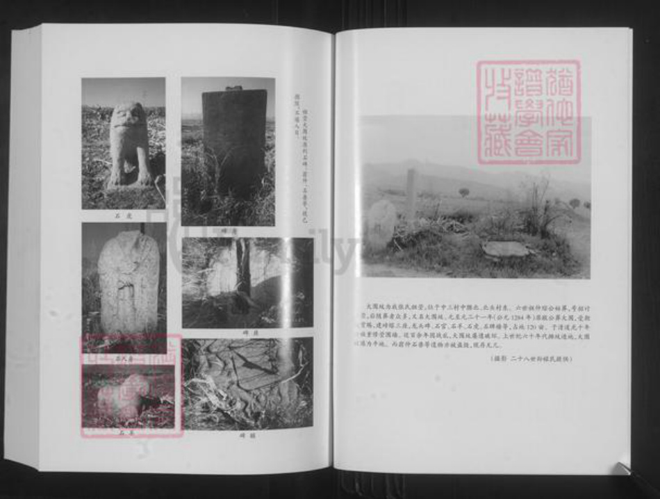 山西省忻州市原平市崞阳镇张氏族谱-同乐寨湾张氏宗谱.pdf电子版插图5