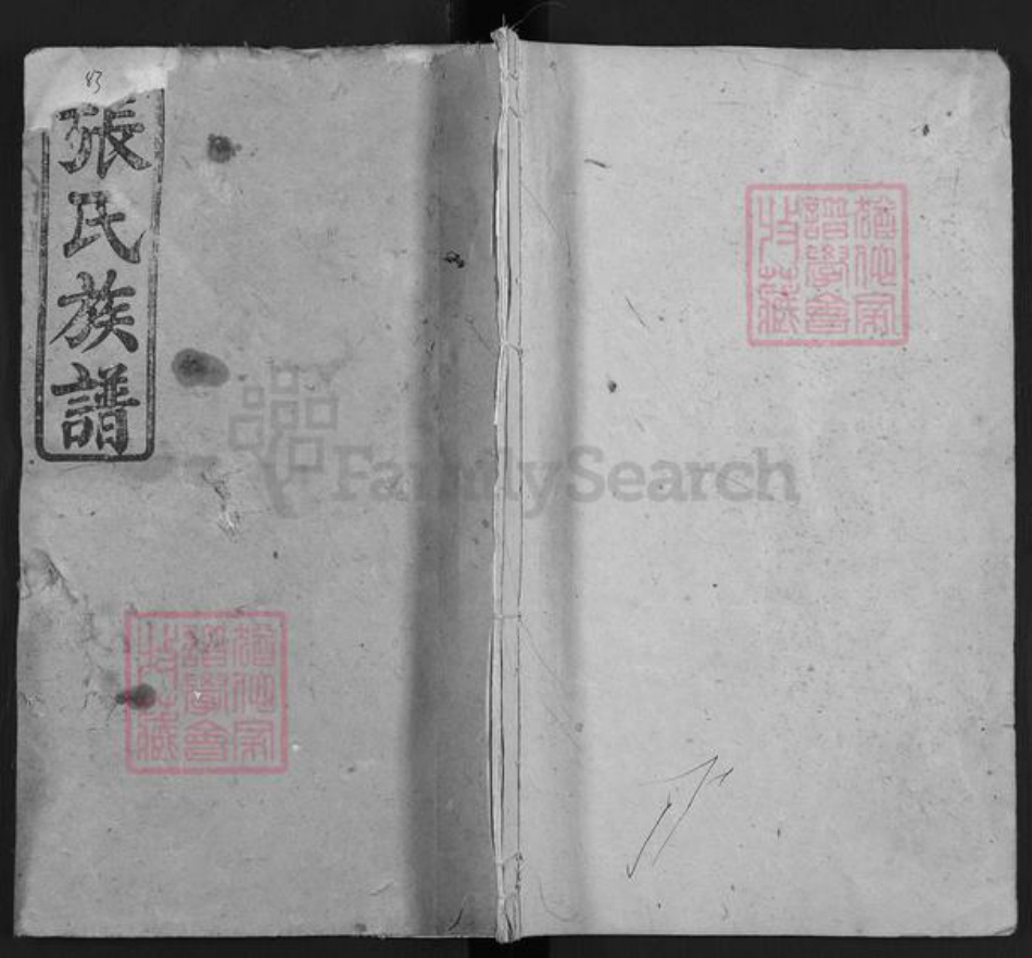 湖南省长沙市浏阳市沙市镇张氏永聚堂族谱-浏阳山斗张氏族谱.pdf电子版