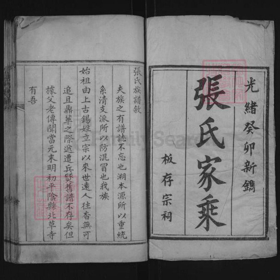 山东省聊城市东阿县张氏族谱-张氏族谱.pdf电子版插图1 山东省聊城市东阿县张氏族谱-张氏族谱.pdf电子版插图1