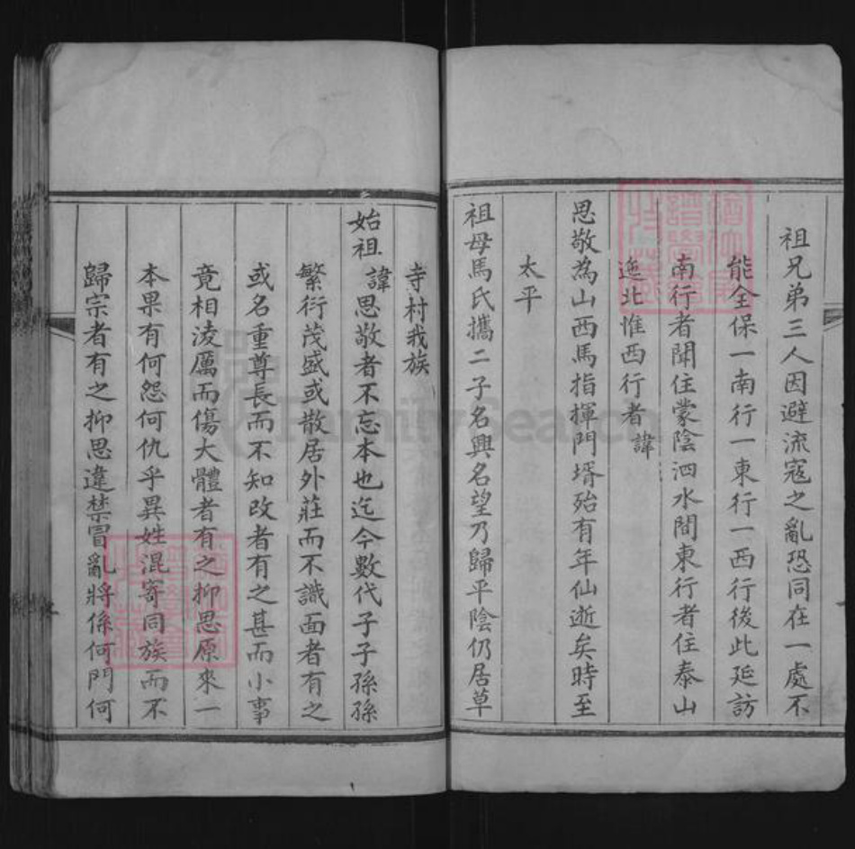 山东省聊城市东阿县张氏族谱-张氏族谱.pdf电子版插图2 山东省聊城市东阿县张氏族谱-张氏族谱.pdf电子版插图2