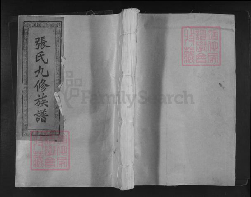 福建省三明市宁化县淮土镇张氏族谱-忠烈嗣徽张氏九修族谱.pdf电子版