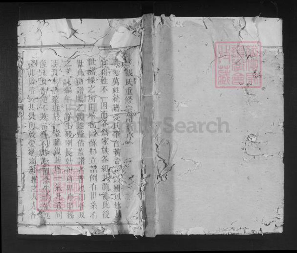 福建省南平市邵武市张氏族谱-麻沙张氏宗谱.pdf电子版