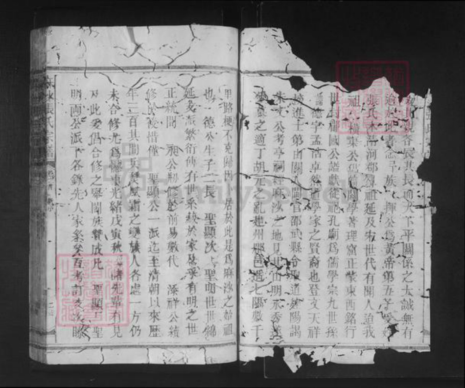 福建省南平市邵武市张氏族谱-麻沙张氏宗谱.pdf电子版插图2 福建省南平市邵武市张氏族谱-麻沙张氏宗谱.pdf电子版插图2