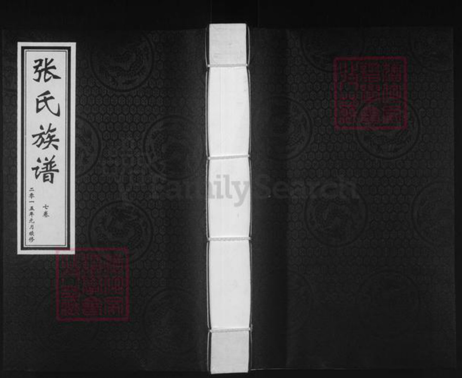 山东省德州市平原县张氏族谱-张氏族谱.pdf电子版