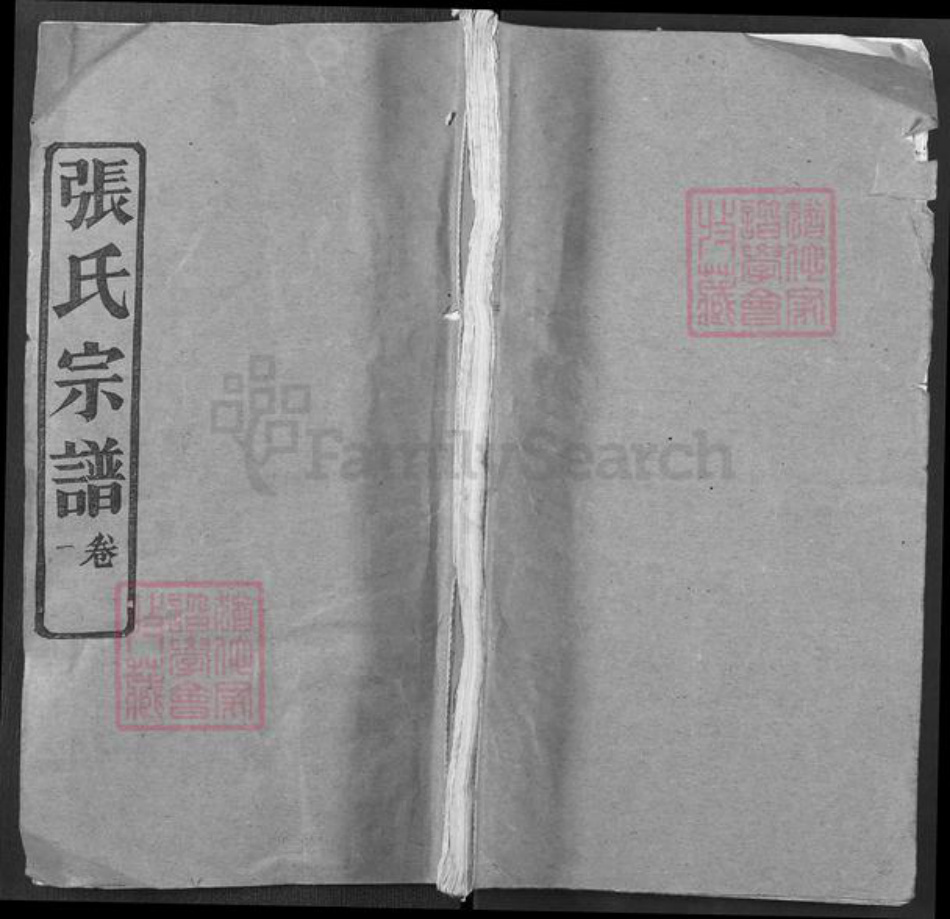 湖北省武汉市新洲区张氏忠孝堂族谱-张氏宗谱.pdf电子版