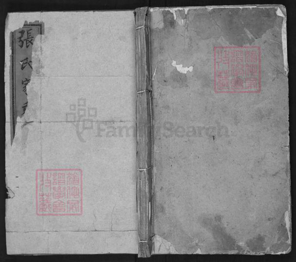 山东省济南市平阴县张氏族谱-张氏家乘.pdf电子版