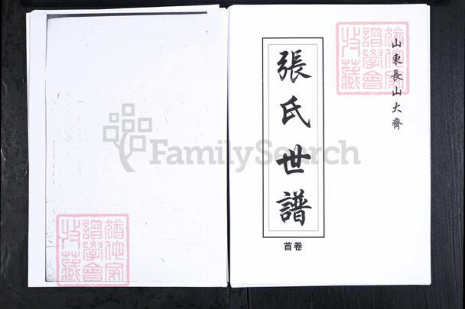 山东省滨州市邹平市张氏族谱-山东长山大齐张氏世谱[4卷首1卷].pdf电子版