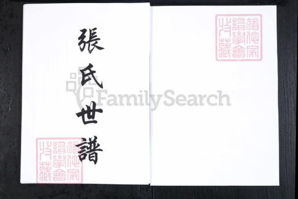 山东省滨州市邹平市张氏族谱-山东长山大齐张氏世谱[4卷首1卷].pdf电子版插图1