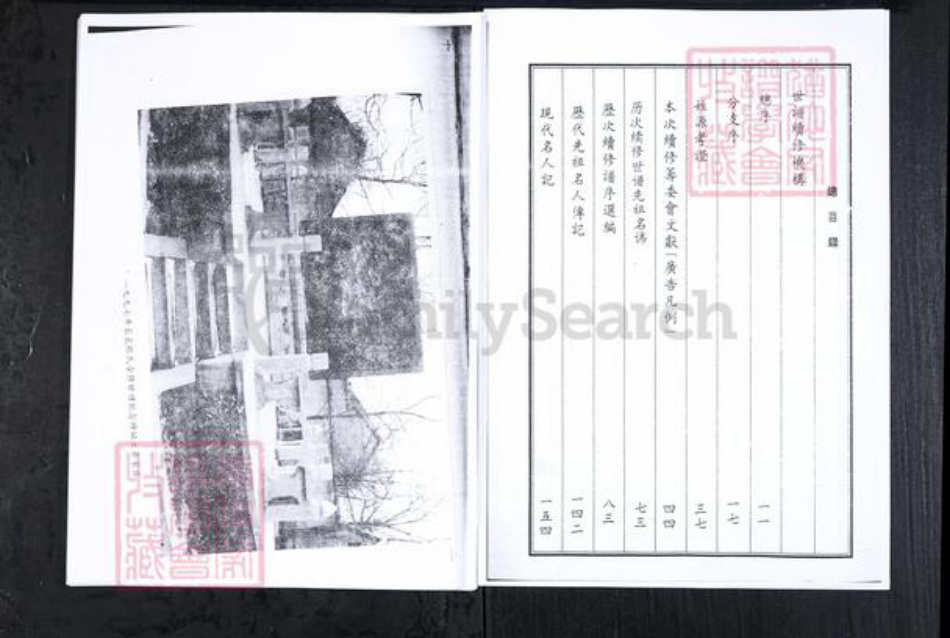 山东省滨州市邹平市张氏族谱-山东长山大齐张氏世谱[4卷首1卷].pdf电子版插图4